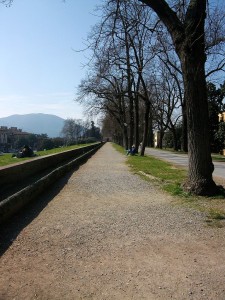 passeggiata mura, Lucca [CC-BY-SA-3.0]