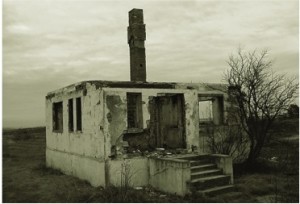 kiipsaare-house