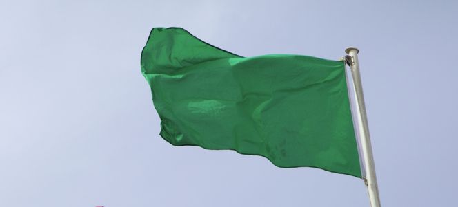 green-flag
