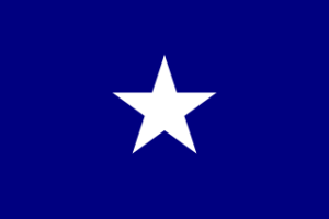 bonnie-blue-flag