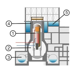 Sezione schematicha di un reattore BWR