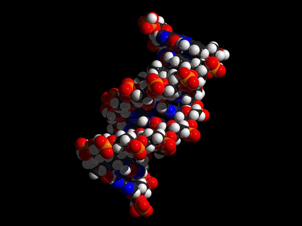 modello doppia elica dna