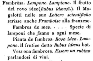 fambrosa, dal "vocabolario milanese italiano" di Francesco Cherubini, 1840 