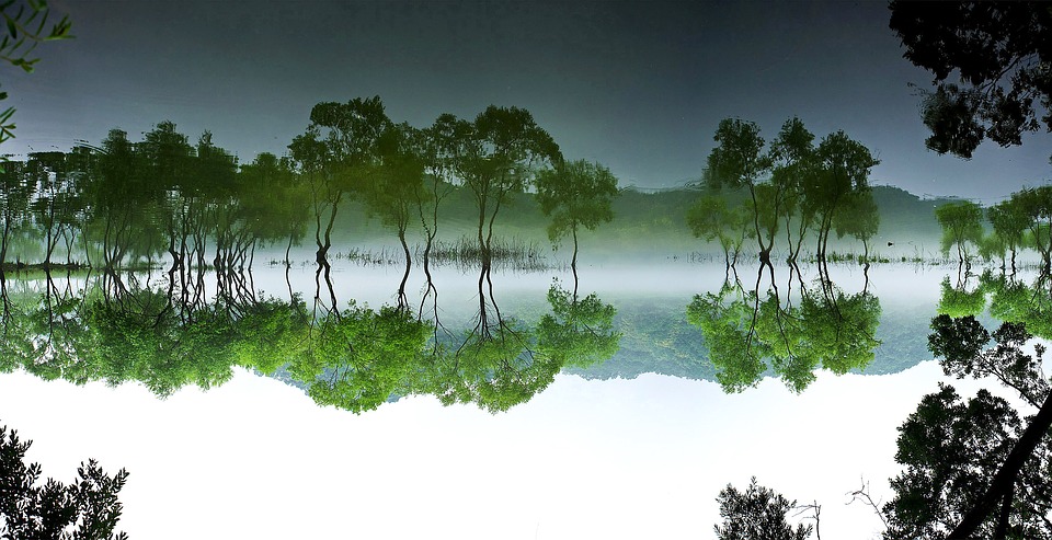 Uno stagno a Daecheong, Corea