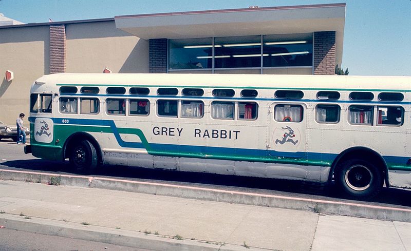 Grey Rabbit bus in San Francisco 1982