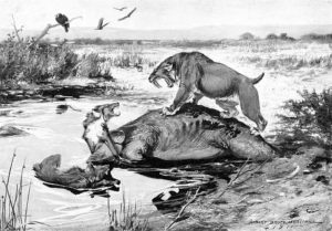 Smilodon californicus e Canis dirus litigano su unacarcassa di Mammuthus columbi nelle cave di La Brea Tar.
