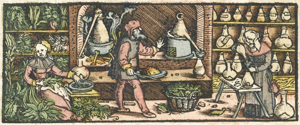 Distillazione delle essenze, XVI secolo (xilografia).