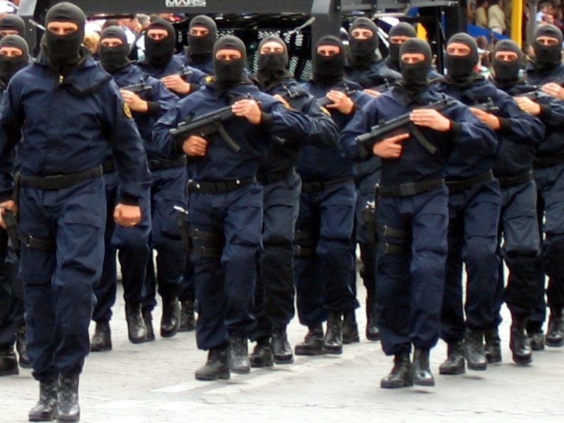 Carabinieri del GIS alla parate delle forze armate a Roma, 2 giugno 2006
