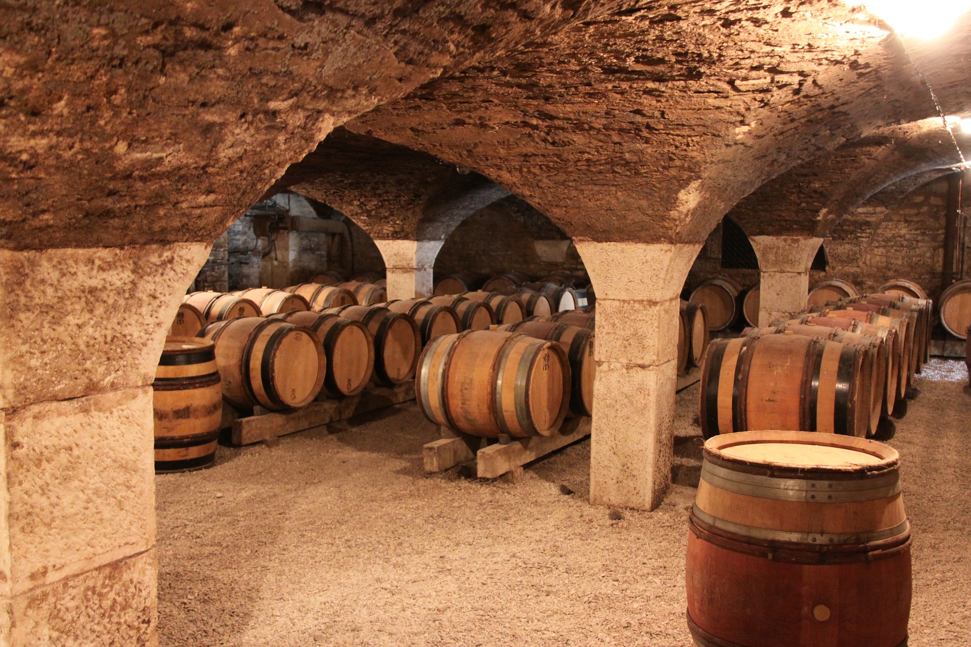 barriques in Borgogna