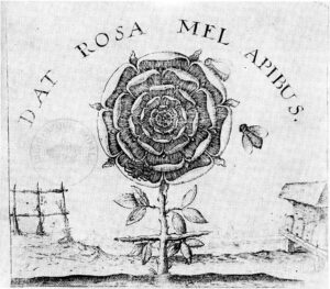 croce sormontata da una rosa, incisione del 1629