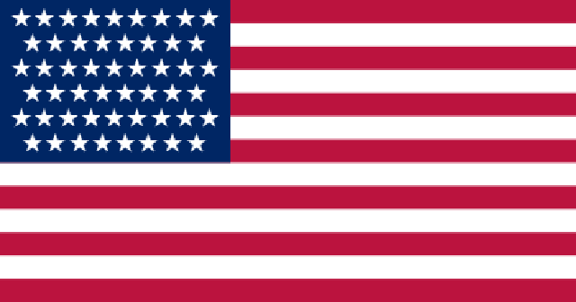 Bandiera degli Stati Uniti a 51 stelle (proposta)